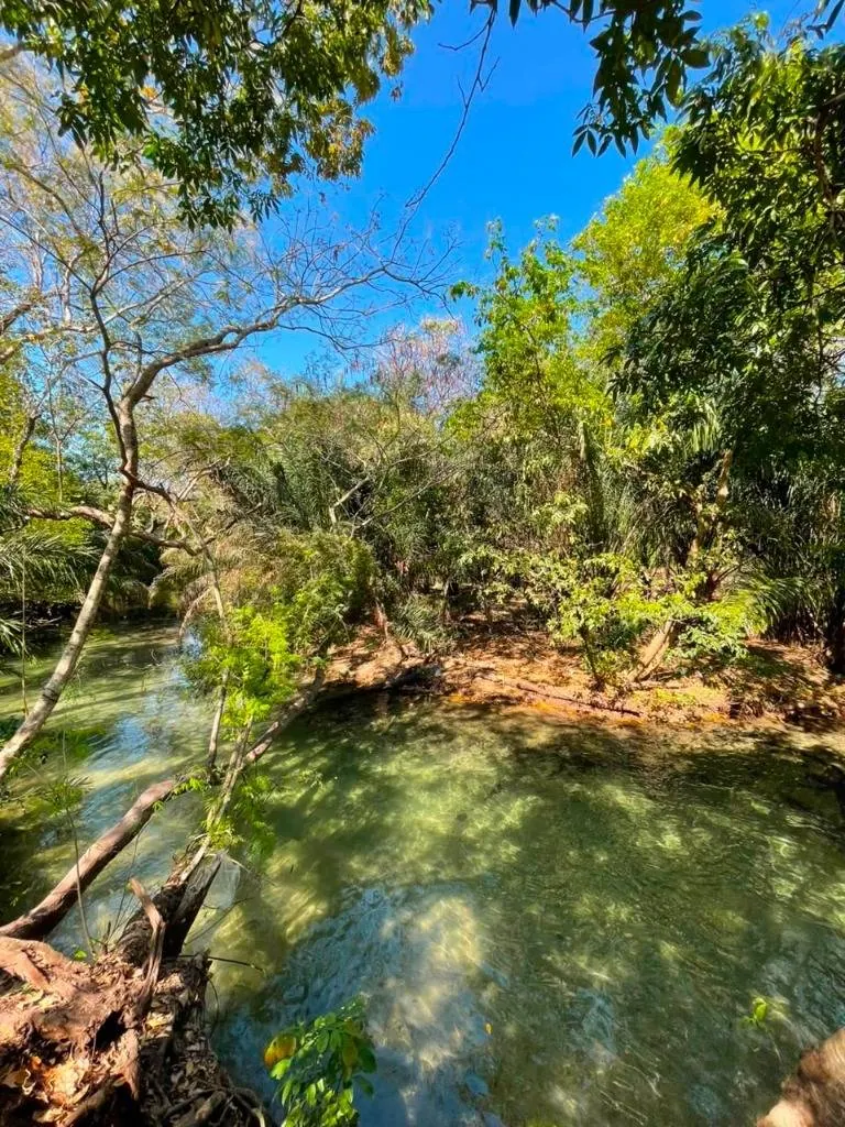 Tourist country property for sale in Aguas Calientes with river access: foto 1 de 16