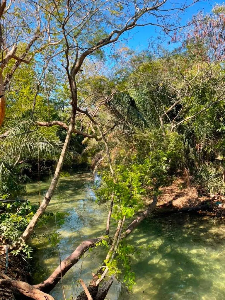 Tourist country property for sale in Aguas Calientes with river access: foto 9 de 16