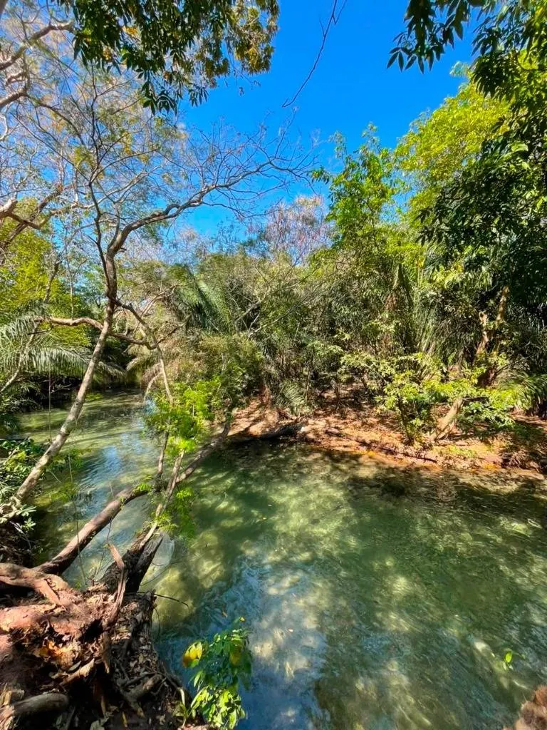 Tourist country property for sale in Aguas Calientes with river access: foto 11 de 16