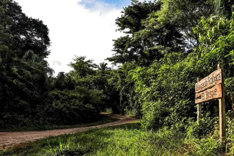 4,600 m² lot for sale in El Bosque, La Guardia: foto 1 de 20