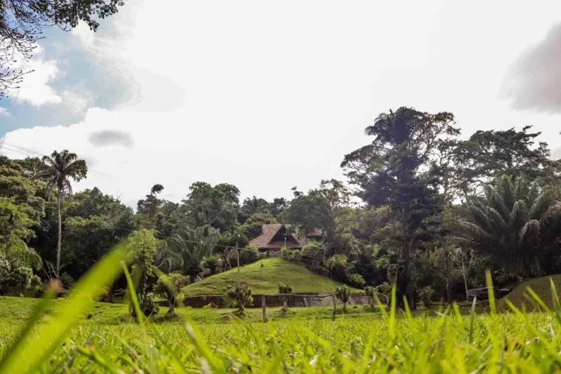 4,600 m² lot for sale in El Bosque, La Guardia: foto 3 de 20