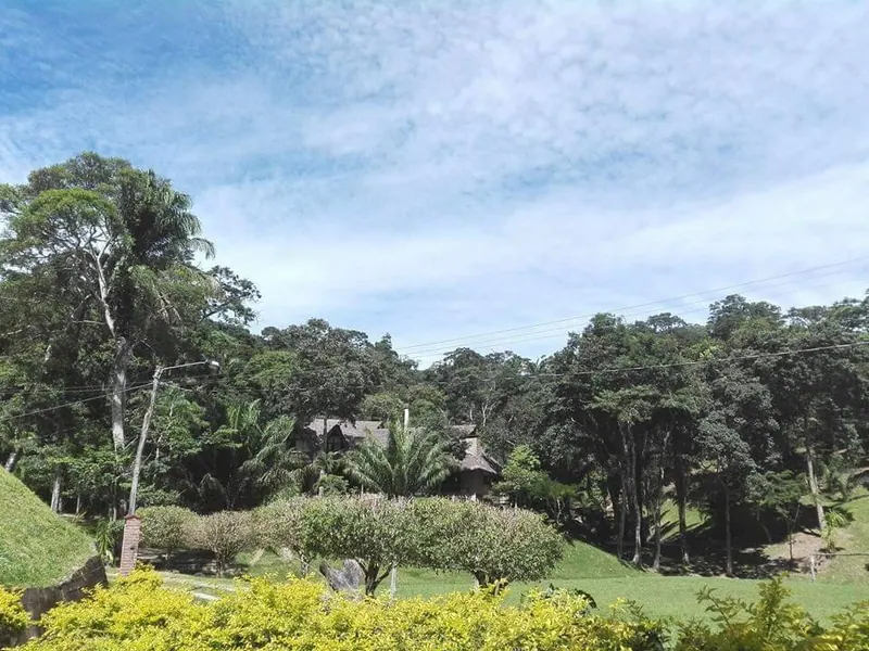4,600 m² lot for sale in El Bosque, La Guardia: foto 4 de 20