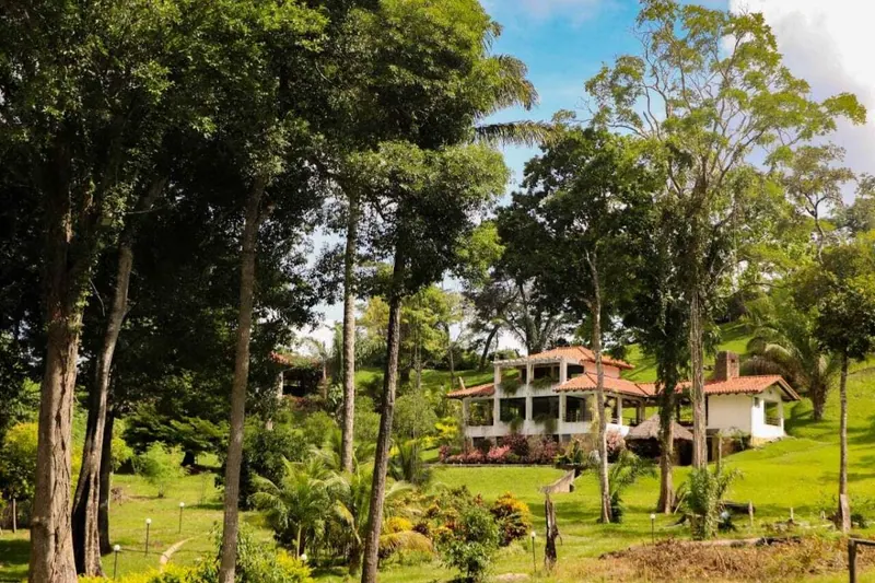 4,600 m² lot for sale in El Bosque, La Guardia: foto 8 de 20
