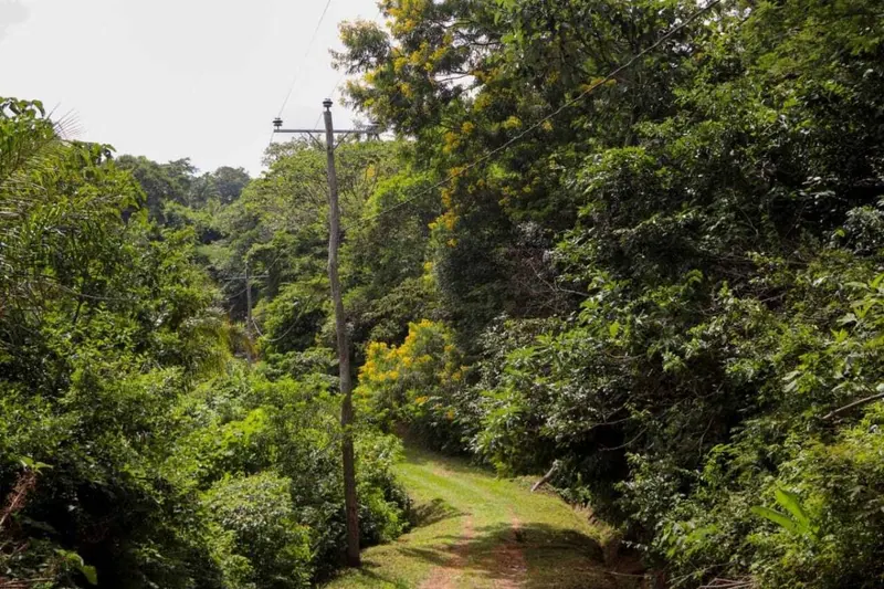 4,600 m² lot for sale in El Bosque, La Guardia: foto 11 de 20