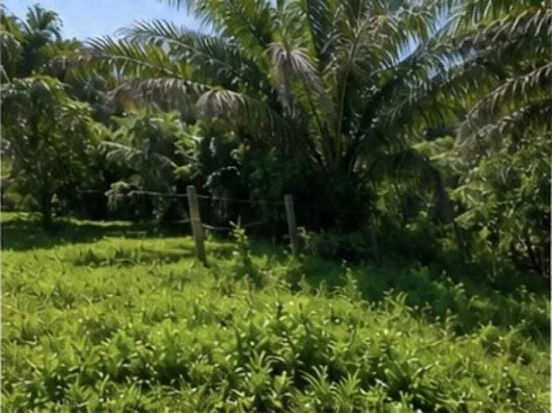 Land for sale in Portachuelo, 141,453.78 m² in San Ignacio del Sara: foto 3 de 6