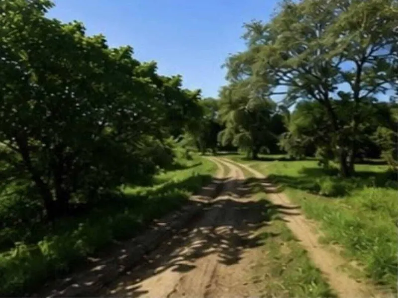 Land for sale in Portachuelo, 141,453.78 m² in San Ignacio del Sara: foto 5 de 6