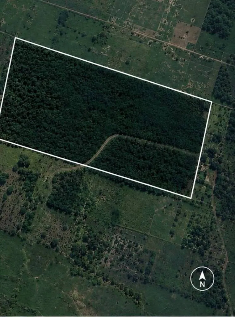 Land for sale in Portachuelo, 141,453.78 m² in San Ignacio del Sara: foto 6 de 6