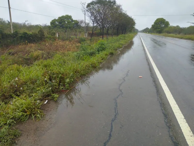 15.75 ha cattle property for sale in Loma Blanca: foto 2 de 4