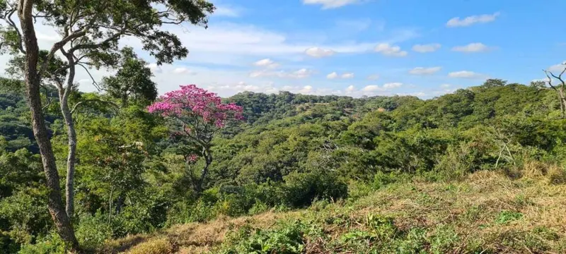 44-hectare farm for sale in La Guardia: foto 1 de 7