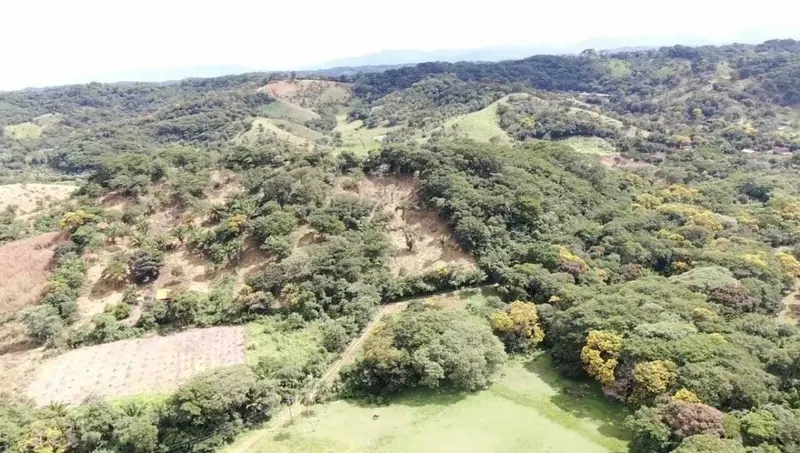 44-hectare farm for sale in La Guardia: foto 2 de 7