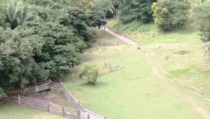 44-hectare farm for sale in La Guardia: foto 3 de 7