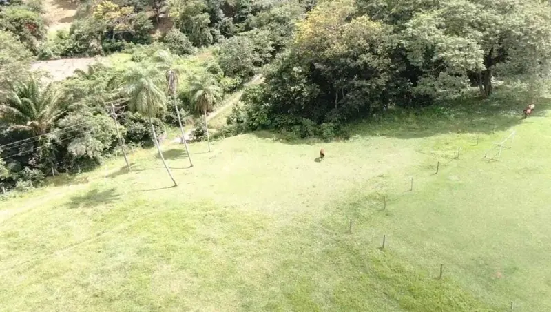 44-hectare farm for sale in La Guardia: foto 4 de 7