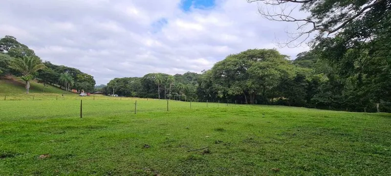 44-hectare farm for sale in La Guardia: foto 5 de 7