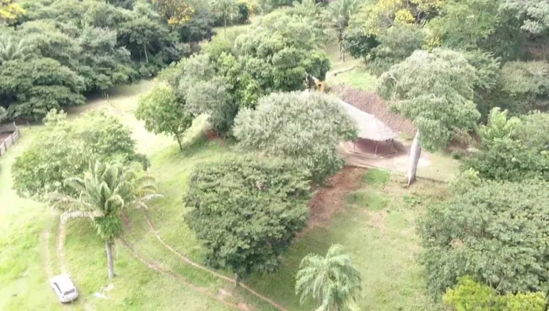 44-hectare farm for sale in La Guardia: foto 6 de 7