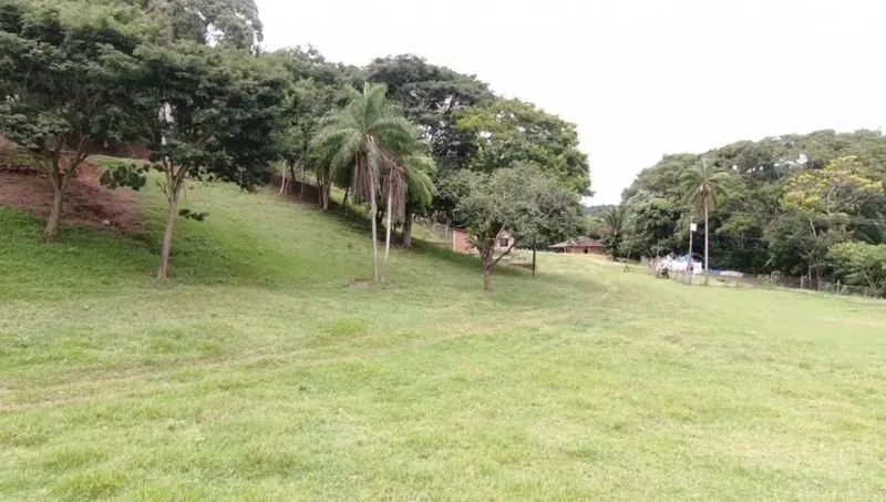 44-hectare farm for sale in La Guardia: foto 7 de 7