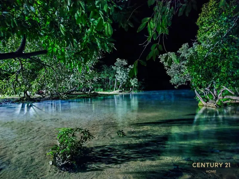Terreno de 13 hectáreas en venta en Aguas Calientes: foto 5 de 12