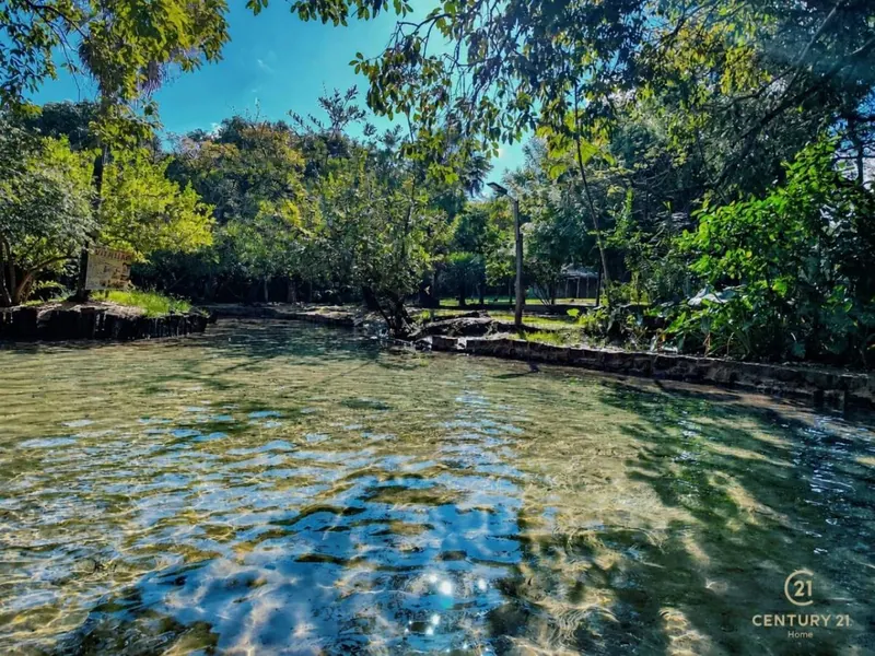 Terreno de 13 hectáreas en venta en Aguas Calientes: foto 6 de 12