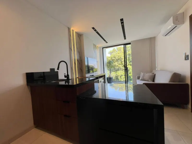 Departamento amoblado de 1 dormitorio en alquiler en la Zona Norte: foto 4 de 12