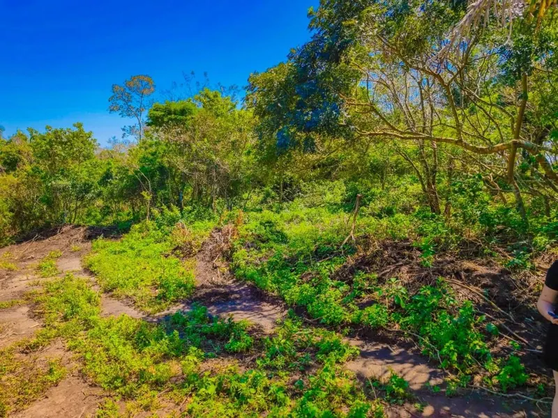 Terreno en esquina en venta en el Urubó, Los Eucaliptos: foto 7 de 12