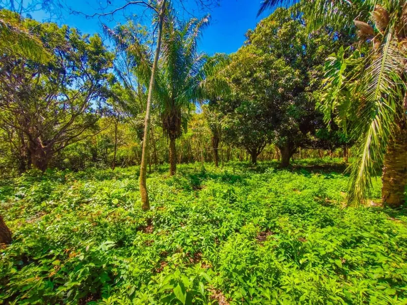 Terreno en esquina en venta en el Urubó, Los Eucaliptos: foto 12 de 12