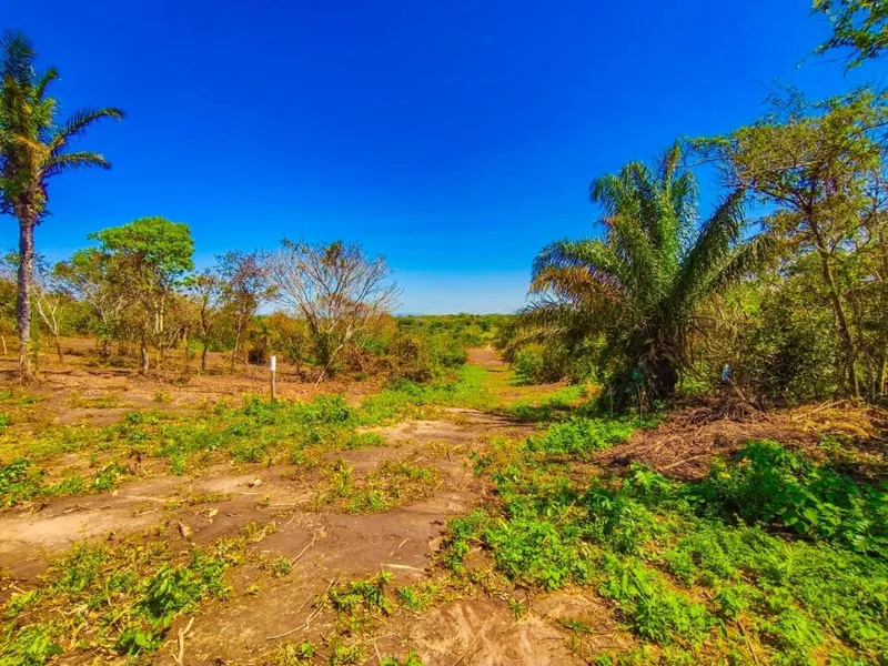 Terreno de 573,96 m² en venta en el Urubó, Los Eucaliptos: foto 10 de 12