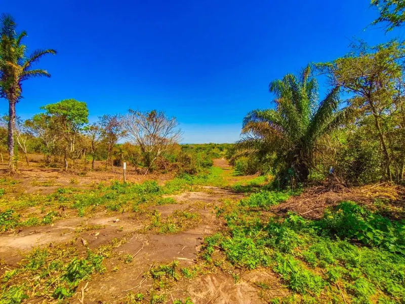 Terreno de 578,40 m² en venta en el Urubó, Los Eucaliptos: foto 1 de 12
