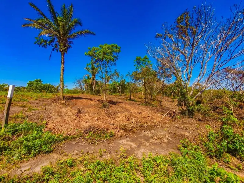 Terreno de 578,40 m² en venta en el Urubó, Los Eucaliptos: foto 9 de 12