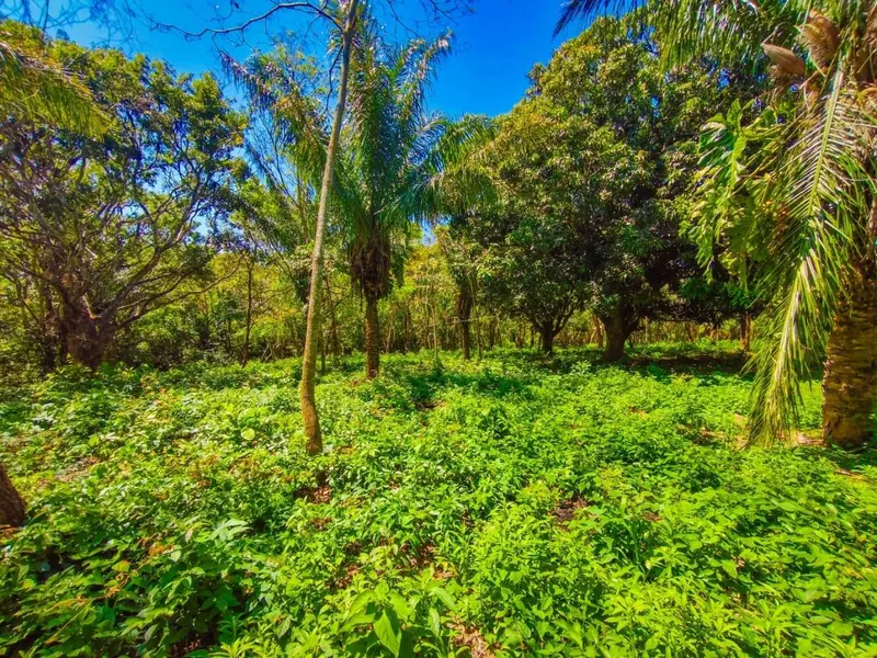 Terreno de 578,40 m² en venta en el Urubó, Los Eucaliptos: foto 12 de 12