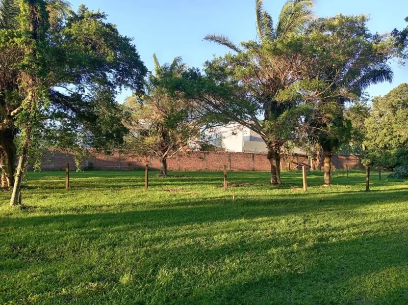 Terreno de 650 m² en venta en el Urubó, Colinas del Urubó: foto 4 de 7