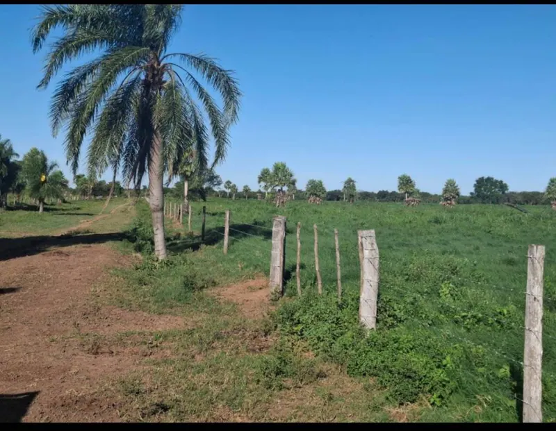 Propiedad rural de 404 ha en venta en Cotoca: foto 6 de 6