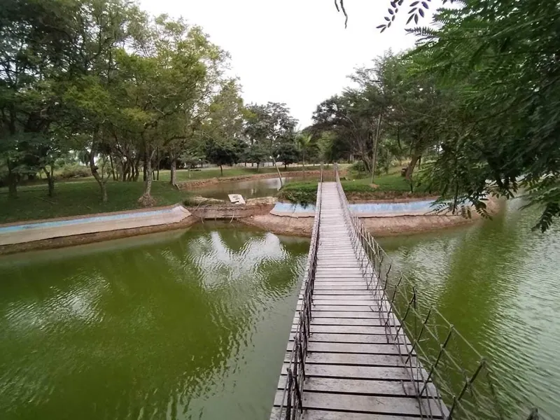 Terreno de 293,15 m² en venta en la urbanización Los Mangales: foto 3 de 10
