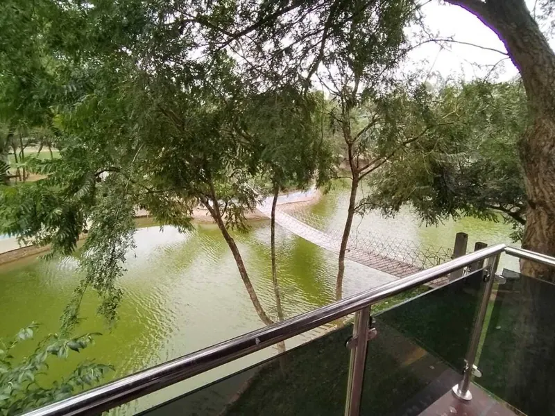 Terreno de 293,15 m² en venta en la urbanización Los Mangales: foto 8 de 10
