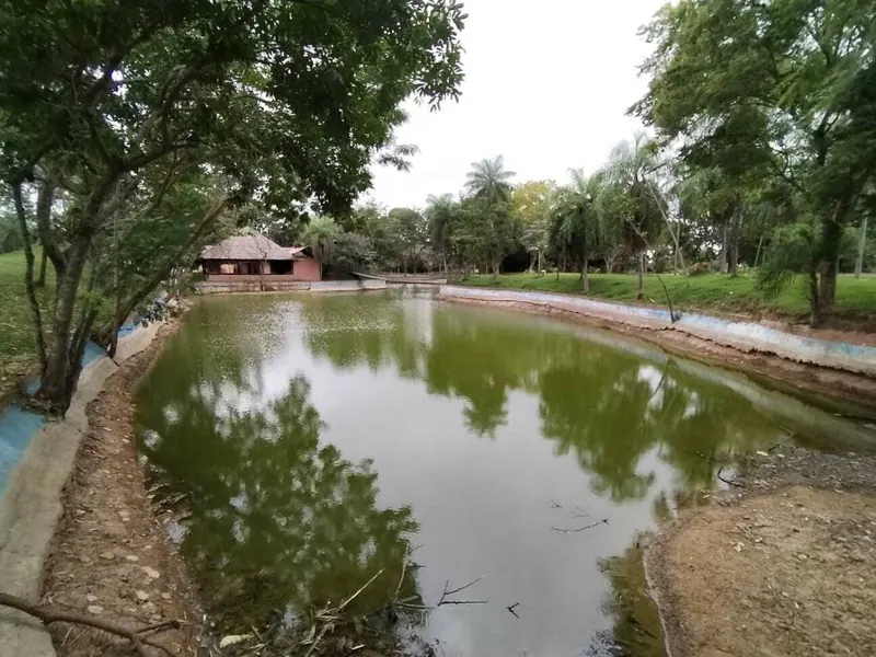 Terreno en esquina de 318 m² en venta en Los Mangales, Zona Norte: foto 5 de 10