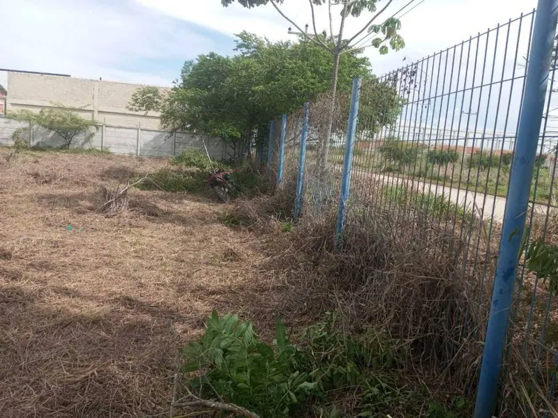 Terreno de 6.459,53 m² en alquiler en la Zona Norte, enmallado: foto 3 de 6