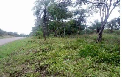 Terreno de 20.000 m² en venta sobre la carretera a San Javier