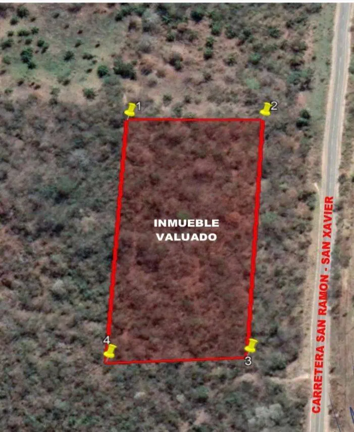 20,000 m² lot for sale on the road to San Javier: foto 3 de 4