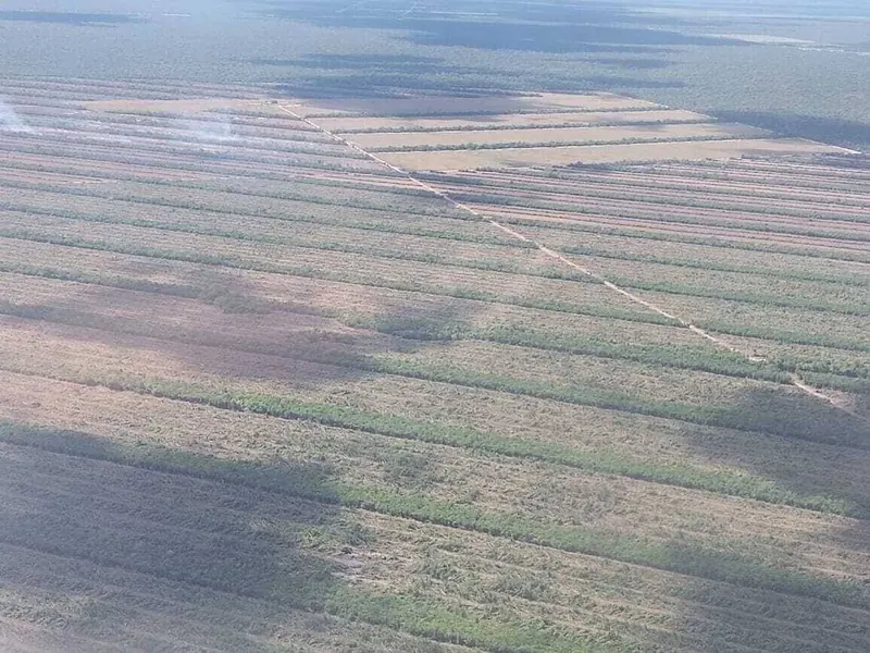 Propiedad agrícola ganadera de 1.633 has en venta en Pailón: foto 1 de 5