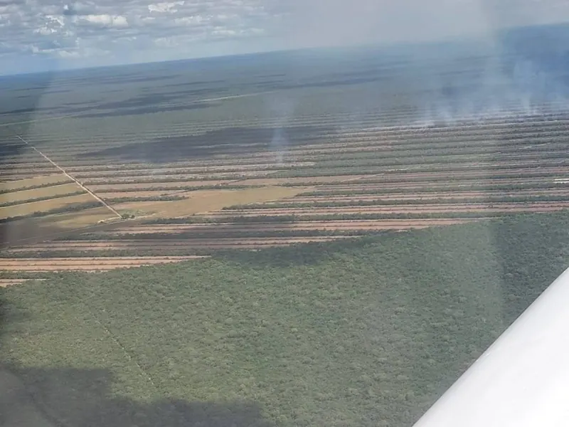 Propiedad agrícola ganadera de 1.633 has en venta en Pailón: foto 3 de 5