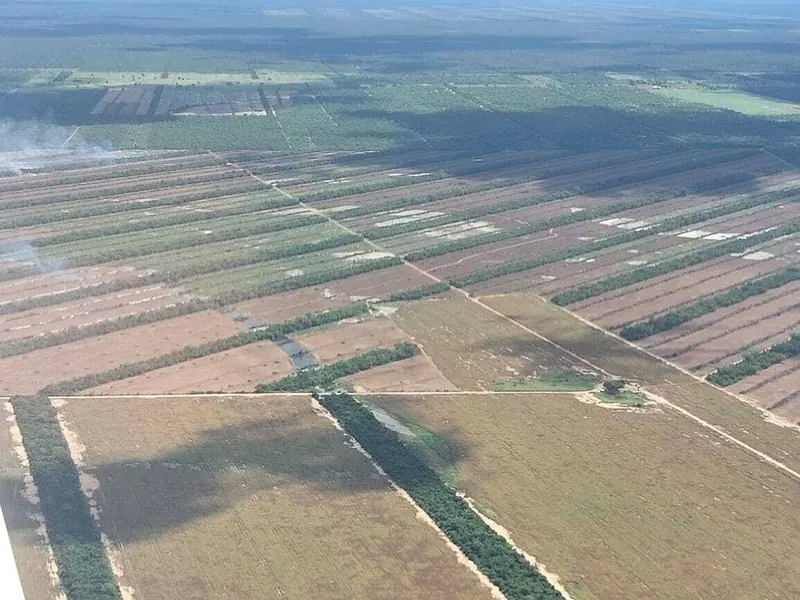 Propiedad agrícola ganadera de 1.633 has en venta en Pailón: foto 4 de 5