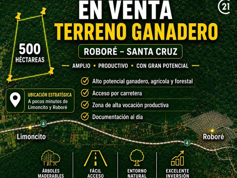 500-hectare cattle property for sale in Limoncito, Roboré: foto 2 de 7