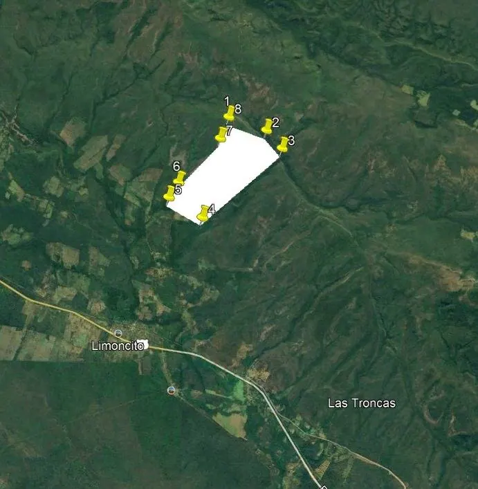 500-hectare cattle property for sale in Limoncito, Roboré: foto 3 de 7