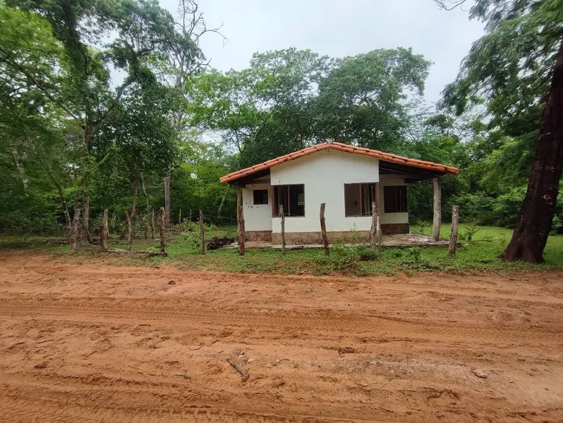 500-hectare cattle property for sale in Limoncito, Roboré: foto 4 de 7