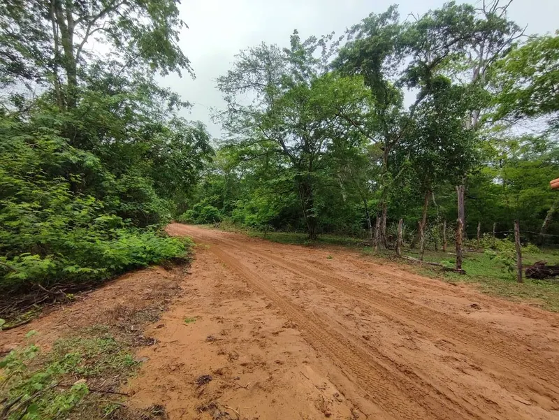 500-hectare cattle property for sale in Limoncito, Roboré: foto 5 de 7