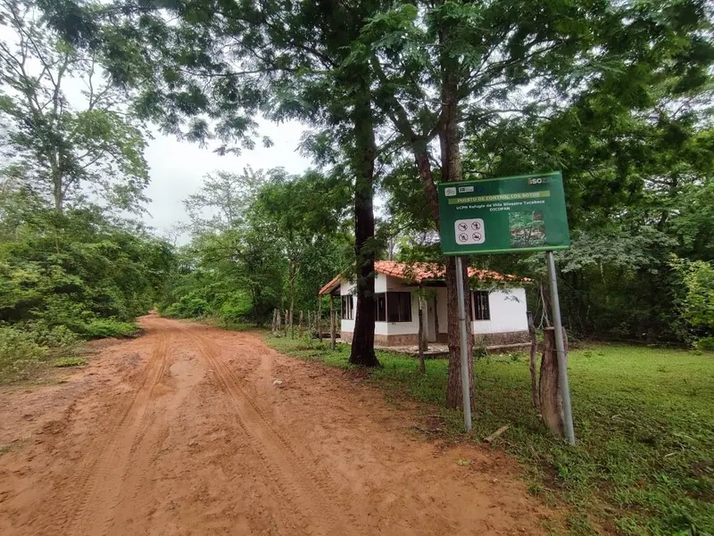 500-hectare cattle property for sale in Limoncito, Roboré: foto 7 de 7