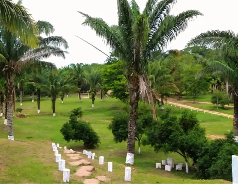 Terreno de 360 m² en venta en Tierra Santa, Urubó: foto 2 de 2