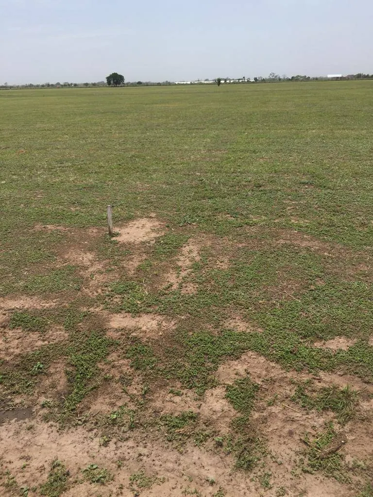 Terrenos de 300 m² en venta en Reservas del Este, Cotoca: foto 9 de 12