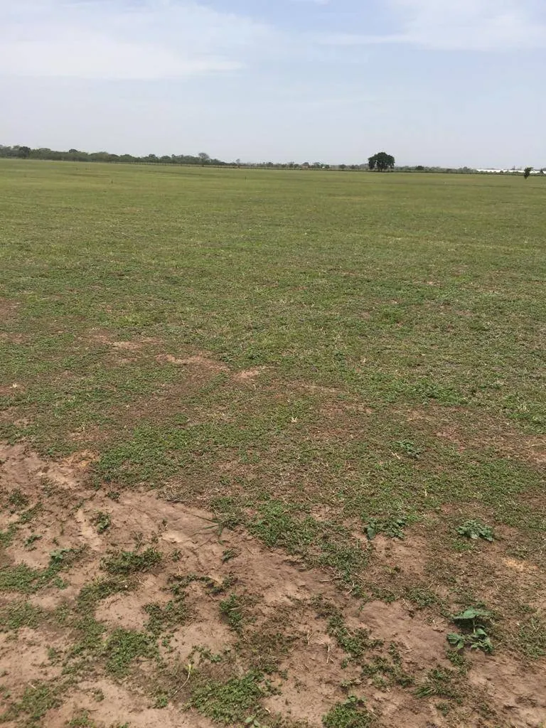 Terrenos de 300 m² en venta en Reservas del Este, Cotoca: foto 10 de 12