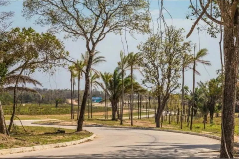 Terreno de 300 m² en venta en Playa de Motacú, Urubó: foto 2 de 6