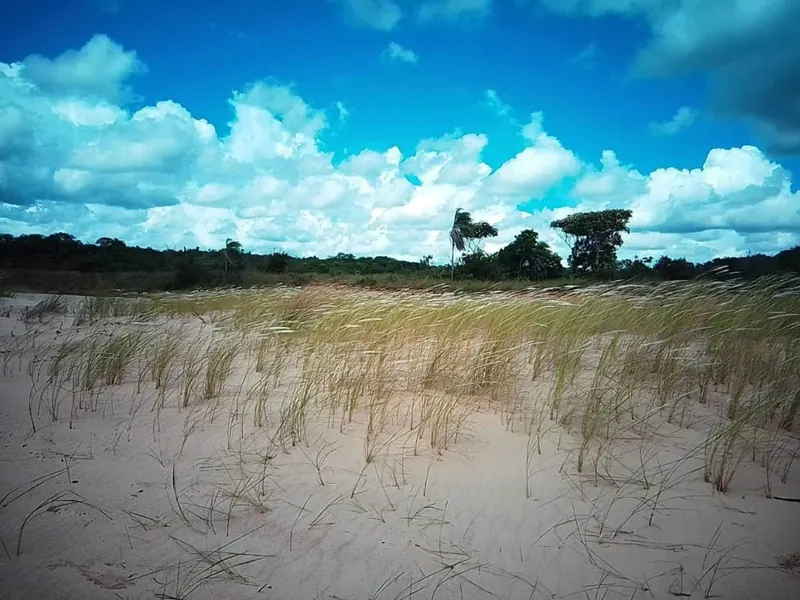 Terreno de 300 m² en venta en Playa de Motacú, Urubó: foto 6 de 6