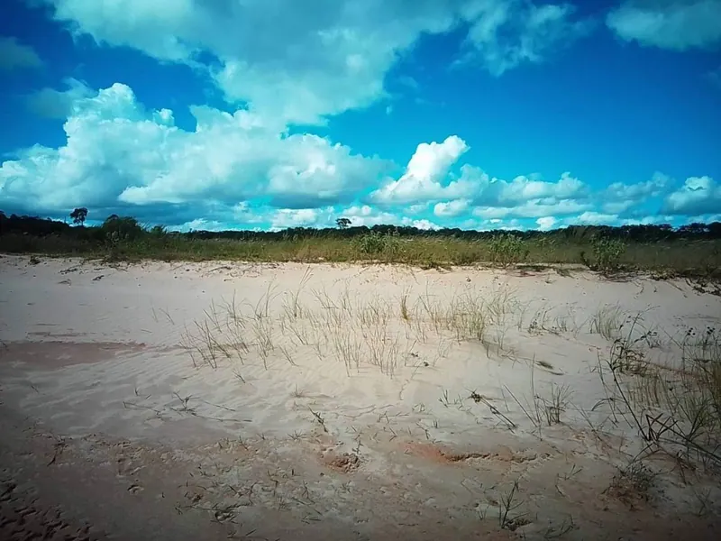 Terreno de 300 m² en venta en Playa de Motacú, Urubó: foto 5 de 6